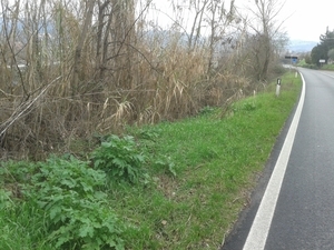 Strada Orvieto-Stazione. Petizione dei residenti