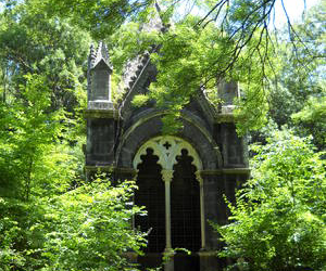 Castello di Torre Alfina e Bosco del Sasseto per le “Giornate FAI di Primavera”