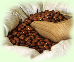 Condotta Slow Food. Nuovi incarichi e linee programmatiche del quadriennio