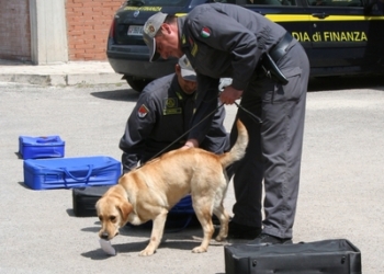 CONTROLLI ANTIDROGA LA NOTTE DELL’8 MARZO: SEQUESTRATI 100 GRAMMI DI SOSTANZE STUPEFACENTI