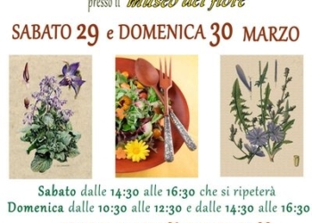 “L’insalata della nonna: erbe spontanee mangerecce come riconoscerle e consumarle”