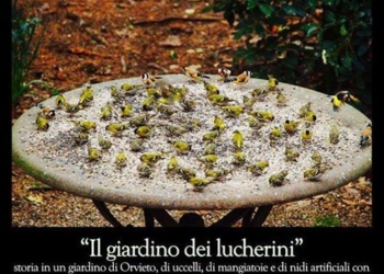 “Il giardino dei luccherini. Storia di un giardino di Orvieto, di uccelli, di mangiatoie e di nidi artificiali”
