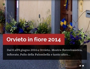 Il “Comitato cittadino dei quartieri” ha pesentato il programma de prossimi mesi