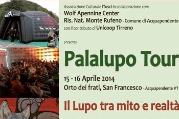 Il lupo non è cattivo come dicono…