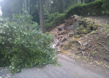 Crolla una lapide al Cimitero, è polemica sulla manutenzione