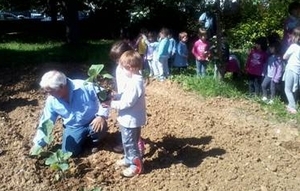 Ripresa l’attività all’orto scolastico nella Scuola dell’Infanzia di Ciconia
