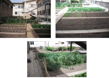 E’ arrivato il terzo  Orto in Condotta  di Orvieto