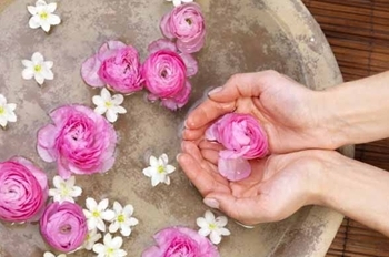 “Una pianta per ogni malanno: i benefici delle nostre erbe spontanee mangerecce ed aromatiche” al Museo del Fiore