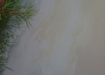 Segnalati recenti sversamenti di inquinanti sul Torrente Rivarcale, ad Allerona Scalo