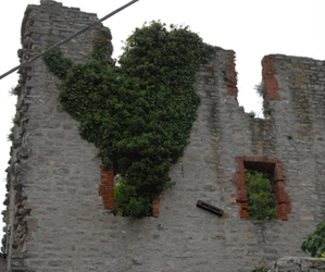 Il 27 luglio tornano le escursioni di MAGNIFICHE EMOZIONI