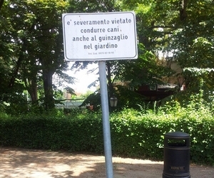 Germani. “A Orvieto i cani sono i benvenuti, insieme ai loro proprietari”