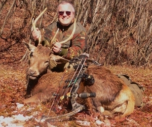 Caccia con arco. Cecchini: “Pratica già consentita in gran parte d’italia, non vorrei che in umbria unica forma caccia concessa sia quella all’assessore”