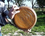 Appuntamento sulle piste del ruzzolone di Ficulle con il VI° Trofeo ARIO BISTONI – “Un lancio per la vita”.