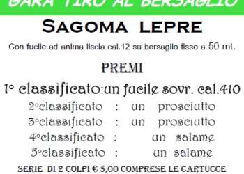 Gara di tiro al bersaglio