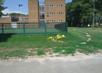 Giro per i parchi di Orvieto. Zona del Paglia