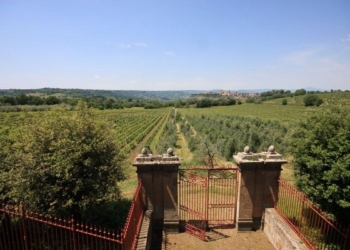 Le Velette, sensazioni positive dalle prime uve vendemmiate. Bottai: “Annata difficile non vuol dire che non ci saranno buoni vini”