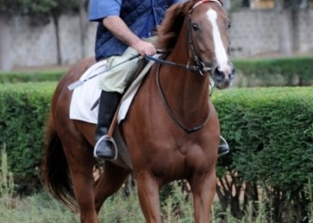 La scuderia Lidio Burla vince per il secondo anno consecutivo la gara ippica “Città di Capalbio”