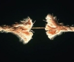 Donna di 75enne muore suicida a Ciconia