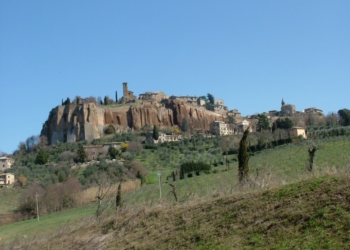 Fiori a Orvieto