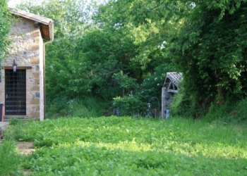 Campagna per “Altopiano dell’Alfina-luogo del cuore FAI”