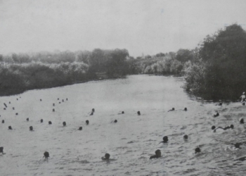 ANNIVERSARIO DELLA VITTORIA. TRA LE RIGHE DEI GIORNALI