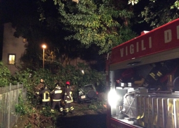 Alberi caduti e allagamenti. Nel centro storico un albero di 15 metri distrugge due auto in sosta