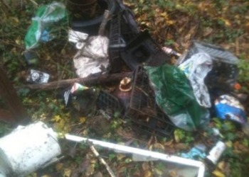 Giornata ecologica sulla Strada Provinciale Valtieri