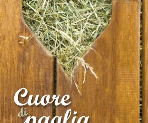 Le poesie di Maria Antonietta Paglialunga. Hanno scritto di lei