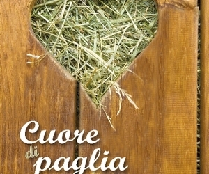 E’ nelle librerie l’ultimo lavoro poetico di Maria Antonietta Paglialunga, “Cuore di paglia”.