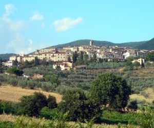 Montecchio, ordinanza sindaco per sicurezza strade e terreni: previste multe per trasgressori