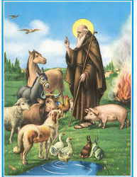 Festa di S.Antonio Abate ad Acquapendente