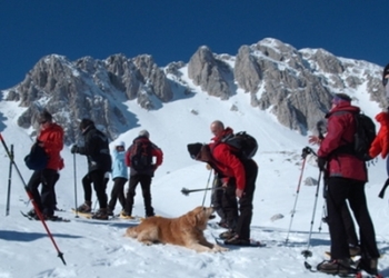 Aperte le iscrizione ad ASD MAJORANA di Orvieto
