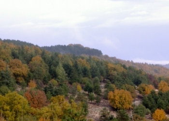 Comunità montana ONAT, lavoratori senza stipendio