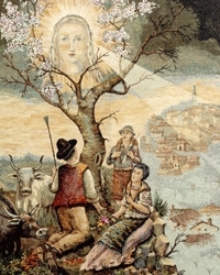 Concorso di poesia dal titolo “Un fiore….speranza di libertà”