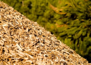 Impianto biomasse a Fabro: “Errare è umano, perseverare è diabolico”