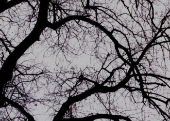 LETTERE PROVINCIALI n° 29 del 2 marzo 2015