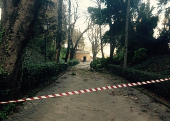 Maltempo. Vento forte, ad Orvieto chiuso il pozzo di San Patrizio e la Funicolare.  Pini caduti a Villa Paolina. La Provincia dispone la chiusura