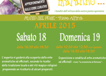 “Una pianta per ogni malanno” i benefici dell’utilizzo delle nostre erbe (aromatiche) spontanee