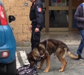 Controlli antidroga nei pressi delle scuole superiori. Unità cinofile dei carabinieri rinvengono hashish e marijuana