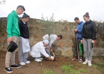 L’albero del migrante . Un ulivo al centro servizi formativi di Orvieto in memoria delle vittime del mediterraneo