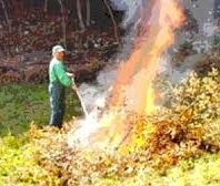San Venanzo, sindaco Marinelli emette ordinanza su smaltimento residui vegetali