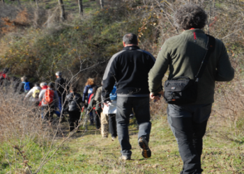 Passeggiata all’interno dell’azienda di Corbara