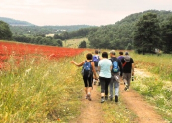 Il 31 maggio “Francigena Marathon”, camminata lungo l’antica Via Francigena