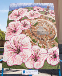 Tutti i Pugnaloni (13). Il gruppo Via Francigena