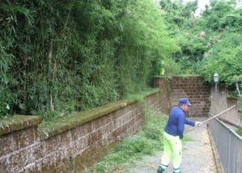 Avviata la manutenzione straordinaria delle aree del PAAO e delle opere di consolidamento della Rupe