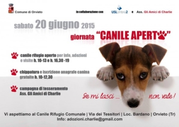 Sabato 20 giugno c’è la giornata “Canile Aperto” contro il randagismo e l’abbandono