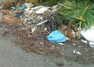 Francigena pulita, raccolti i rifiuti abbandonati