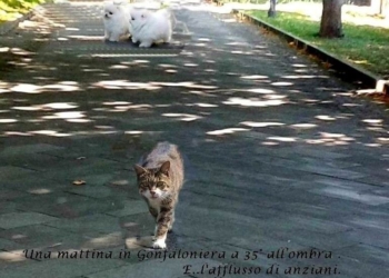 La “Gonfaloniera” con 35° all’ombra. Afflusso di anziani