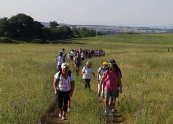 “Sotto il cielo dell’Alfina”… Voglia di stare insieme!