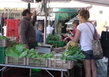 LETTERE PROVINCIALI n. 50 del 27 luglio 2015